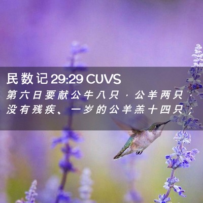 Picture 02 - 民 数 记 29:29 CUVS - 第 六 日 要 献 公 牛 八 只 ， 公 羊 - Bible Verse Picture