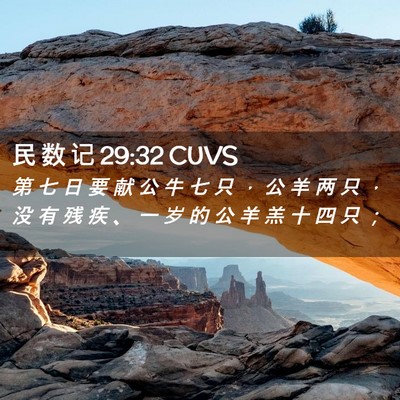 Picture 02 - 民 数 记 29:32 CUVS - 第 七 日 要 献 公 牛 七 只 ， 公 羊 - Bible Verse Picture