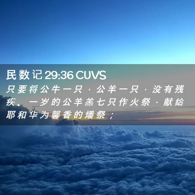 Picture 02 - 民 数 记 29:36 CUVS - 只 要 将 公 牛 一 只 ， 公 羊 一 只 - Bible Verse Picture