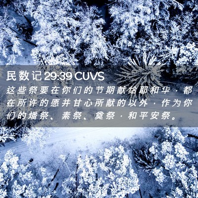 Picture 02 - 民 数 记 29:39 CUVS - 这 些 祭 要 在 你 们 的 节 期 献 给 - Bible Verse Picture