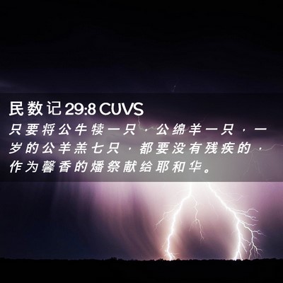 Picture 02 - 民 数 记 29:8 CUVS - 只 要 将 公 牛 犊 一 只 ， 公 绵 羊 - Bible Verse Picture