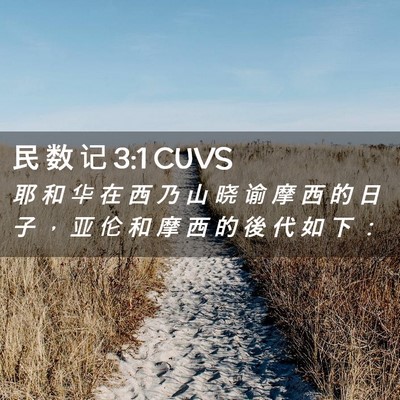 Picture 02 - 民 数 记 3:1 CUVS - 耶 和 华 在 西 乃 山 晓 谕 摩 西 的 - Bible Verse Picture