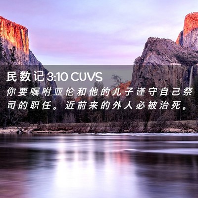 Picture 02 - 民 数 记 3:10 CUVS - 你 要 嘱 咐 亚 伦 和 他 的 儿 子 谨 - Bible Verse Picture