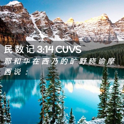 Picture 02 - 民 数 记 3:14 CUVS - 耶 和 华 在 西 乃 的 旷 野 晓 谕 摩 - Bible Verse Picture