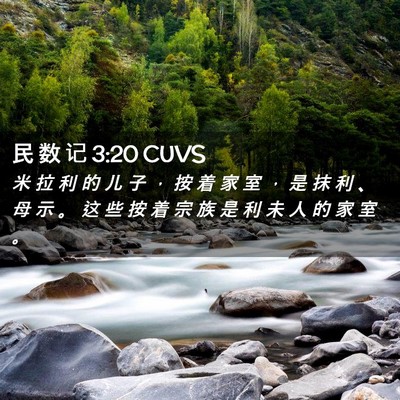 Picture 02 - 民 数 记 3:20 CUVS - 米 拉 利 的 儿 子 ， 按 着 家 室 ， - Bible Verse Picture