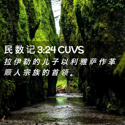 Picture 02 - 民 数 记 3:24 CUVS - 拉 伊 勒 的 儿 子 以 利 雅 萨 作 革 - Bible Verse Picture