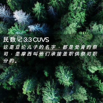Picture 02 - 民 数 记 3:3 CUVS - 这 是 亚 伦 儿 子 的 名 字 ， 都 是 - Bible Verse Picture