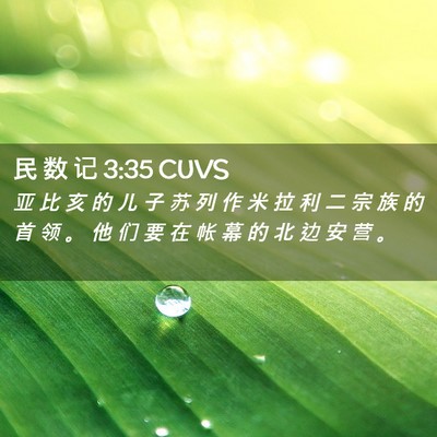 Picture 02 - 民 数 记 3:35 CUVS - 亚 比 亥 的 儿 子 苏 列 作 米 拉 利 - Bible Verse Picture