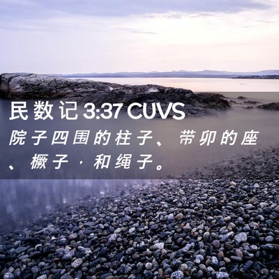 Picture 02 - 民 数 记 3:37 CUVS - 院 子 四 围 的 柱 子 、 带 卯 的 座 - Bible Verse Picture