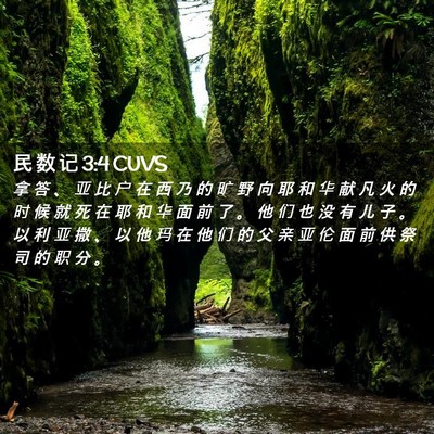 Picture 02 - 民 数 记 3:4 CUVS - 拿 答 、 亚 比 户 在 西 乃 的 旷 野 - Bible Verse Picture
