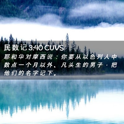 Picture 02 - 民 数 记 3:40 CUVS - 耶 和 华 对 摩 西 说 ： 你 要 从 以 - Bible Verse Picture
