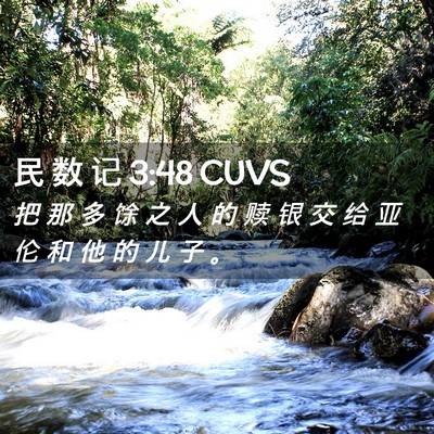Picture 02 - 民 数 记 3:48 CUVS - 把 那 多 馀 之 人 的 赎 银 交 给 亚 - Bible Verse Picture