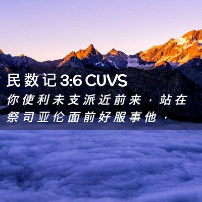 Picture 02 - 民 数 记 3:6 CUVS - 你 使 利 未 支 派 近 前 来 ， 站 在 - Bible Verse Picture