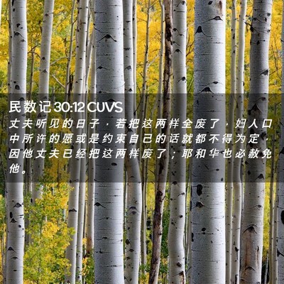 Picture 02 - 民 数 记 30:12 CUVS - 丈 夫 听 见 的 日 子 ， 若 把 这 两 - Bible Verse Picture