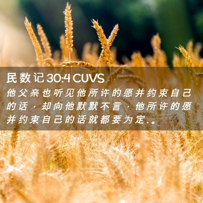 Picture 02 - 民 数 记 30:4 CUVS - 他 父 亲 也 听 见 他 所 许 的 愿 并 - Bible Verse Picture