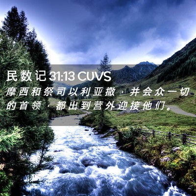 Picture 02 - 民 数 记 31:13 CUVS - 摩 西 和 祭 司 以 利 亚 撒 ， 并 会 - Bible Verse Picture