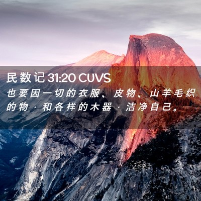 Picture 02 - 民 数 记 31:20 CUVS - 也 要 因 一 切 的 衣 服 、 皮 物 、 - Bible Verse Picture