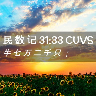 Picture 02 - 民 数 记 31:33 CUVS - 牛 七 万 二 千 只 - Bible Verse Picture