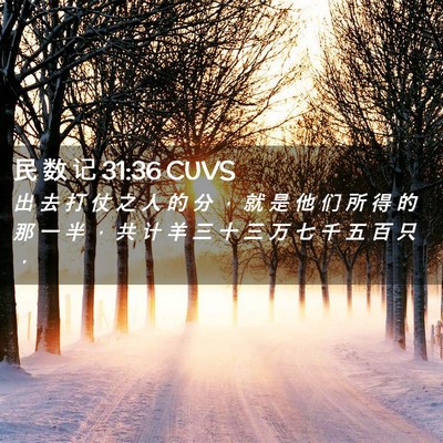 Picture 02 - 民 数 记 31:36 CUVS - 出 去 打 仗 之 人 的 分 ， 就 是 他 - Bible Verse Picture