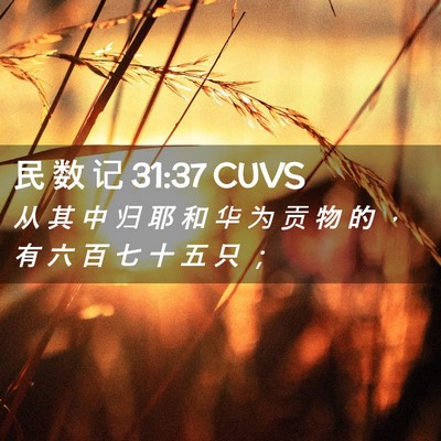 Picture 02 - 民 数 记 31:37 CUVS - 从 其 中 归 耶 和 华 为 贡 物 的 ， - Bible Verse Picture