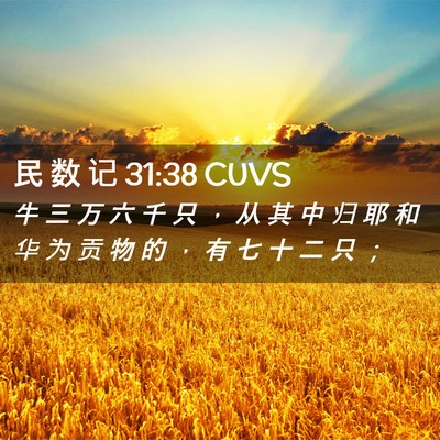 Picture 02 - 民 数 记 31:38 CUVS - 牛 三 万 六 千 只 ， 从 其 中 归 耶 - Bible Verse Picture