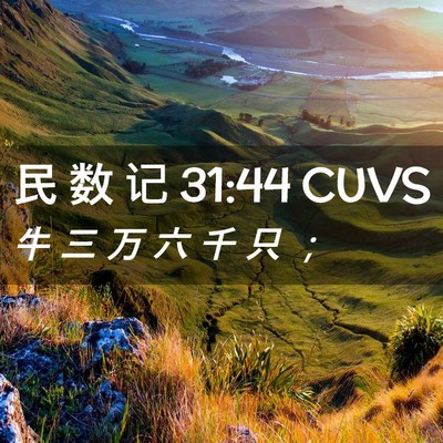 Picture 02 - 民 数 记 31:44 CUVS - 牛 三 万 六 千 只 - Bible Verse Picture