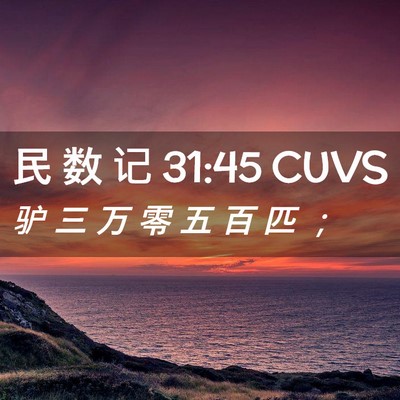 Picture 02 - 民 数 记 31:45 CUVS - 驴 三 万 零 五 百 匹 - Bible Verse Picture