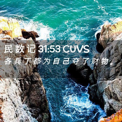 Picture 02 - 民 数 记 31:53 CUVS - 各 兵 丁 都 为 自 己 夺 了 财 物 - Bible Verse Picture