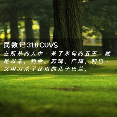 Picture 02 - 民 数 记 31:8 CUVS - 在 所 杀 的 人 中 ， 杀 了 米 甸 的 - Bible Verse Picture