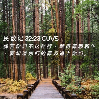 Picture 02 - 民 数 记 32:23 CUVS - 倘 若 你 们 不 这 样 行 ， 就 得 罪 - Bible Verse Picture