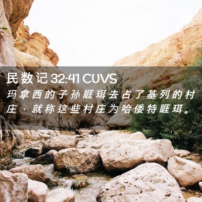 Picture 02 - 民 数 记 32:41 CUVS - 玛 拿 西 的 子 孙 睚 珥 去 占 了 基 - Bible Verse Picture