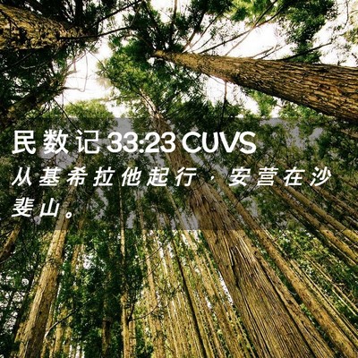 Picture 02 - 民 数 记 33:23 CUVS - 从 基 希 拉 他 起 行 ， 安 营 在 沙 - Bible Verse Picture