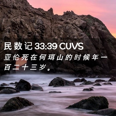 Picture 02 - 民 数 记 33:39 CUVS - 亚 伦 死 在 何 珥 山 的 时 候 年 一 - Bible Verse Picture