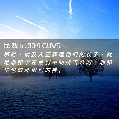 Picture 02 - 民 数 记 33:4 CUVS - 那 时 ， 埃 及 人 正 葬 埋 他 们 的 - Bible Verse Picture