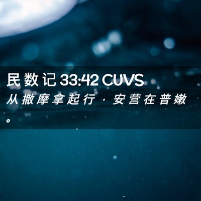 Picture 02 - 民 数 记 33:42 CUVS - 从 撒 摩 拿 起 行 ， 安 营 在 普 嫩 - Bible Verse Picture