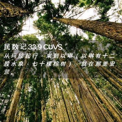Picture 02 - 民 数 记 33:9 CUVS - 从 玛 拉 起 行 ， 来 到 以 琳 （ 以 - Bible Verse Picture
