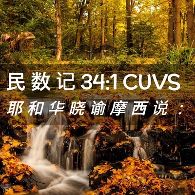 Picture 02 - 民 数 记 34:1 CUVS - 耶 和 华 晓 谕 摩 西 说 - Bible Verse Picture
