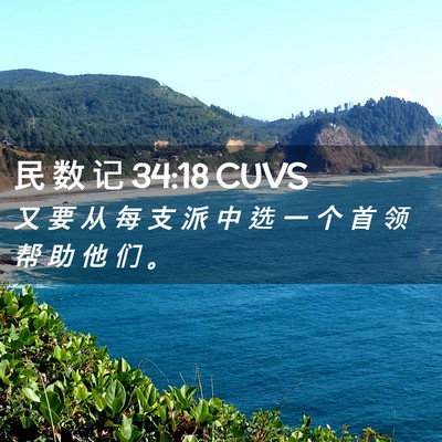 Picture 02 - 民 数 记 34:18 CUVS - 又 要 从 每 支 派 中 选 一 个 首 领 - Bible Verse Picture