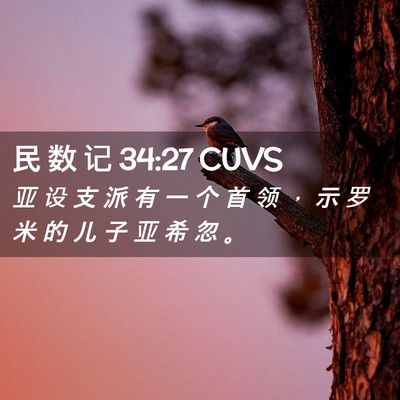 Picture 02 - 民 数 记 34:27 CUVS - 亚 设 支 派 有 一 个 首 领 ， 示 罗 - Bible Verse Picture
