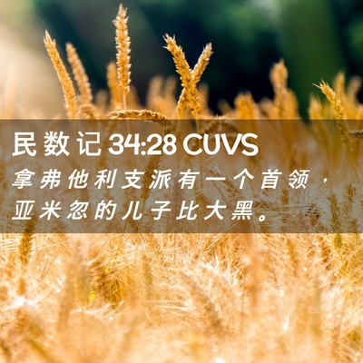 Picture 02 - 民 数 记 34:28 CUVS - 拿 弗 他 利 支 派 有 一 个 首 领 ， - Bible Verse Picture