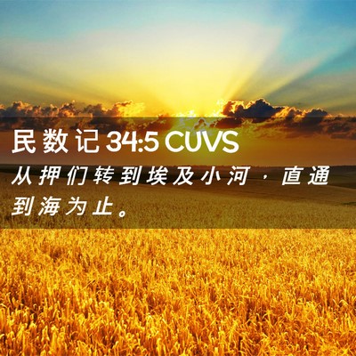 Picture 02 - 民 数 记 34:5 CUVS - 从 押 们 转 到 埃 及 小 河 ， 直 通 - Bible Verse Picture