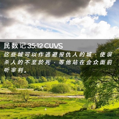 Picture 02 - 民 数 记 35:12 CUVS - 这 些 城 可 以 作 逃 避 报 仇 人 的 - Bible Verse Picture
