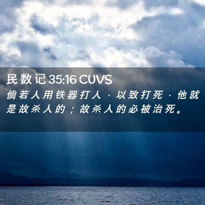 Picture 02 - 民 数 记 35:16 CUVS - 倘 若 人 用 铁 器 打 人 ， 以 致 打 - Bible Verse Picture