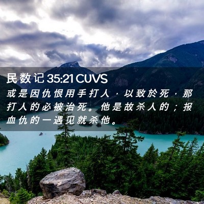 Picture 02 - 民 数 记 35:21 CUVS - 或 是 因 仇 恨 用 手 打 人 ， 以 致 - Bible Verse Picture