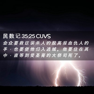 Picture 02 - 民 数 记 35:25 CUVS - 会 众 要 救 这 误 杀 人 的 脱 离 报 - Bible Verse Picture