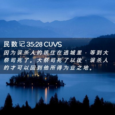 Picture 02 - 民 数 记 35:28 CUVS - 因 为 误 杀 人 的 该 住 在 逃 城 里 - Bible Verse Picture