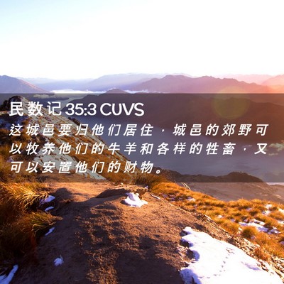 Picture 02 - 民 数 记 35:3 CUVS - 这 城 邑 要 归 他 们 居 住 ， 城 邑 - Bible Verse Picture
