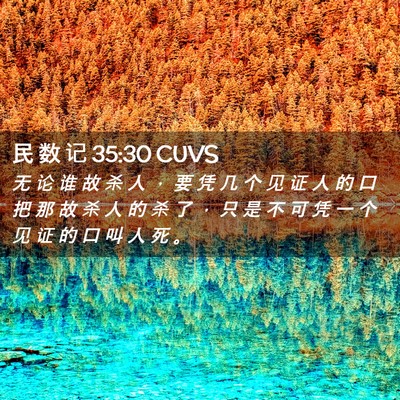 Picture 02 - 民 数 记 35:30 CUVS - 无 论 谁 故 杀 人 ， 要 凭 几 个 见 - Bible Verse Picture
