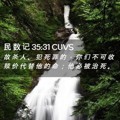 Picture 02 - 民 数 记 35:31 CUVS - 故 杀 人 、 犯 死 罪 的 ， 你 们 不 - Bible Verse Picture