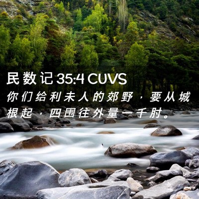 Picture 02 - 民 数 记 35:4 CUVS - 你 们 给 利 未 人 的 郊 野 ， 要 从 - Bible Verse Picture